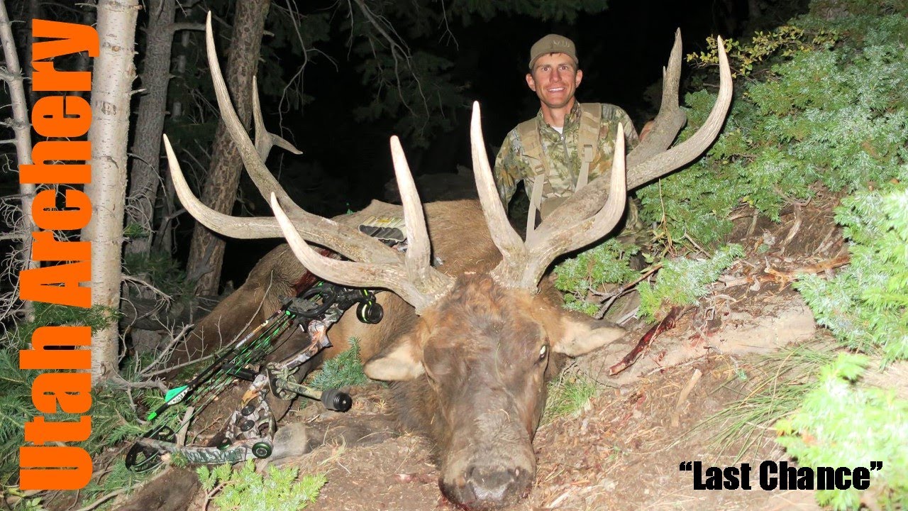 LAST CHANCE Utah Archery Elk Hunt! Great Video by Tines Up YouTube