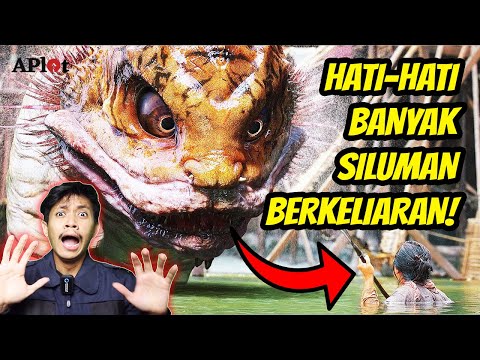 Video: Akankah lingkungan perumahan tumbuh di lokasi pabrik Baltik?