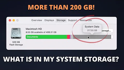 Why is My Mac System Storage More than 100GB?