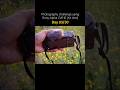 Sony Alpha ZVE10 Street photography #explorepage #shortsfeed #photography #sony #challenge #tutorial