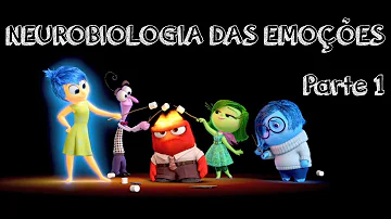 Como são processadas as emoções?