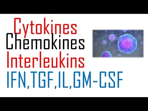 Vidéo: Différence Entre Les Cytokines Et Les Chimiokines