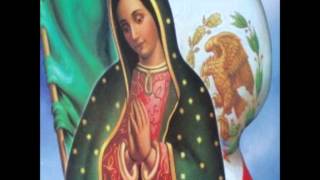 Video thumbnail of "05 Oh María Madre Mia"