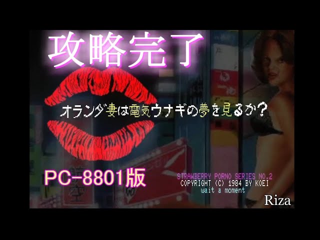 pc8801mk2 オランダ妻は電気ウナギの夢を見るか? 5インチディスク オランダ妻は電気ウナギの夢を見るか? ENDINGまでやりますよ