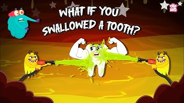 What Happens If You Swallow a Tooth 🦷 | What if We Swallow Teeth? | Digestion System | Dr. Binocs