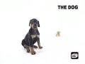 The Dog - Dobermann
