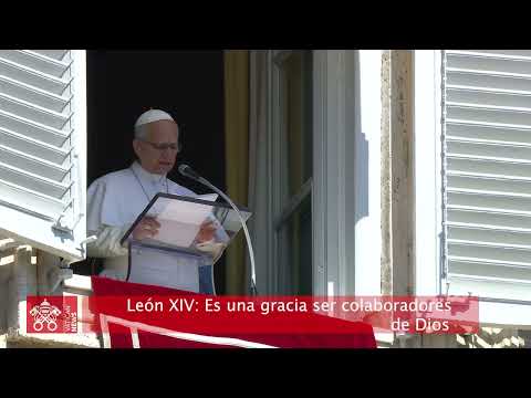 The Pope's concern over the humanitarian crisis in Somalia