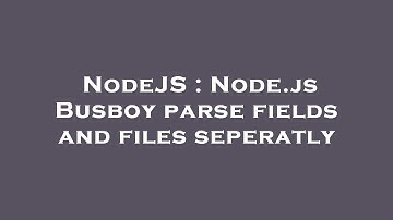 NodeJS : Node.js Busboy parse fields and files seperatly