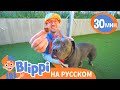 Блиппи в приюте для животных 🐵🐱 | Блиппи на русском