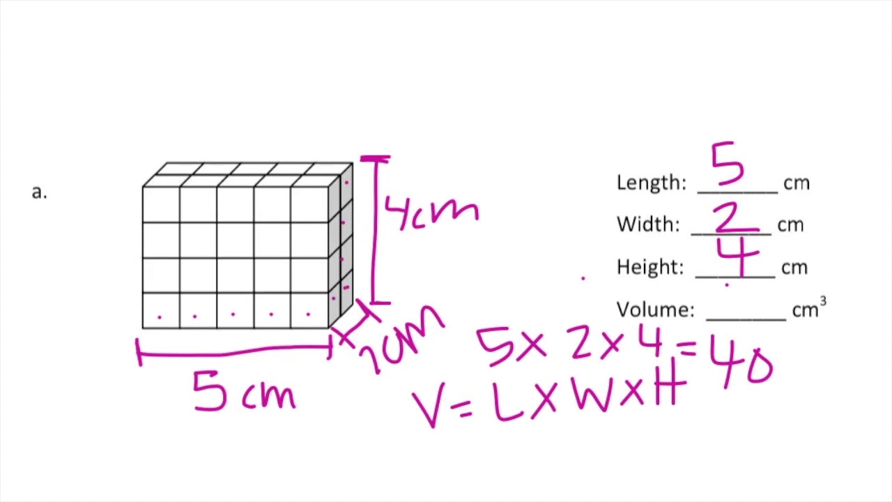 module 5 lesson 4 - YouTube