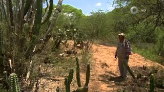 Documental - Tehuacán-Cuicatlán, refugio de identidad y vida