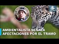 Denuncian 6 jaguares atropellados y 121 cuevas y cenotes afectados por tramo 5 de Tren Maya