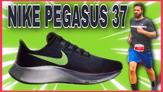 pegasus 37 verde