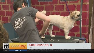 Barkhouse No. 14