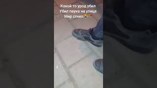 как так можно? мир гниёт 🥀😭