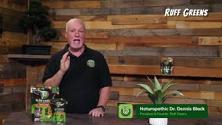 February Is Dog Dental Health Month Tip 2 Vet Check-Ups Matter