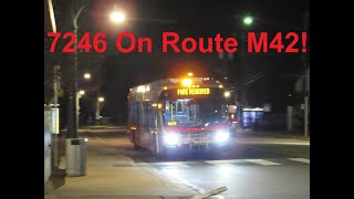 NeoplanDude | WMATA Metrobus 2012 New Flyer XDE40 #7246 On Route M42, To North Bethesda!
