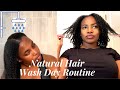 My Healthy Hair Wash Day Routine| Moisture Retention|Start To Finish|Type 4 Hair