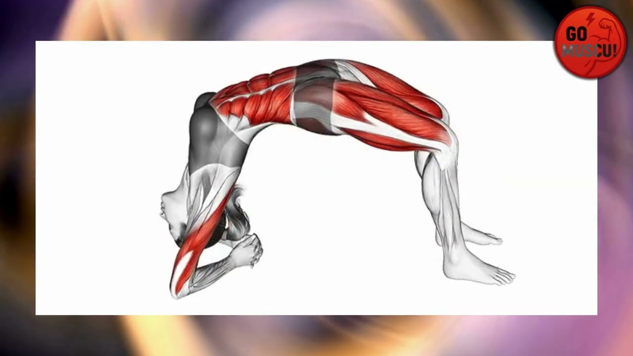 Дви Пада Випарита Дандасана Йога | Поза перевернутого посоха на двух ногах. Домашний глубокий про...