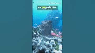 Ancient Maps That Knew Antarctica?!