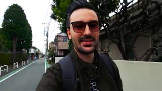 Life In Tokyo - Week 2 & 3 Update