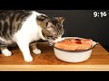 Ayam Panggang Favorit si Oyen! #asmr #mukbang #kucing #foodie #love #instagood #cute #shorts #fyp