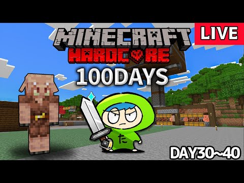 30日目～　装備揃ってないのでネザー側で揃えることにしました