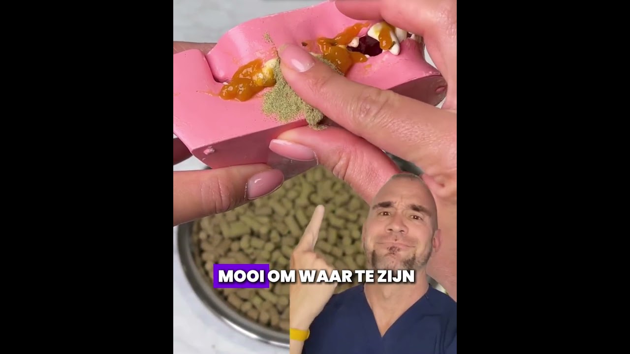 VSL Example ( Dutch )