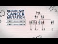 What is hereditary cancer what is a hereditary cancer mutation  genetics 101  ambry genetics