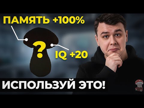 ЭТА ПИЩА УЛУЧШАЕТ МОЗГ?! Анализ Ежовика Гребенчатого на Полезные Вещества