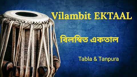 Vilambit Ektaal Tabla  | Taalmala