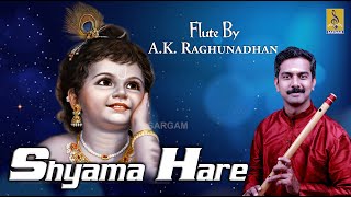 A Flute Carnatic Classical concert by A.K. Raghunadhan | Shyama Hare Jukebox