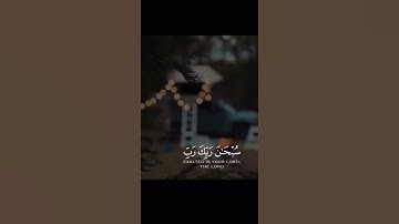 تلاوة رائعة | ناصر القطامي