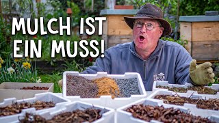 Darum ist Mulch im Garten unverzichtbar!   Tipps & Tricks zum Mulchen