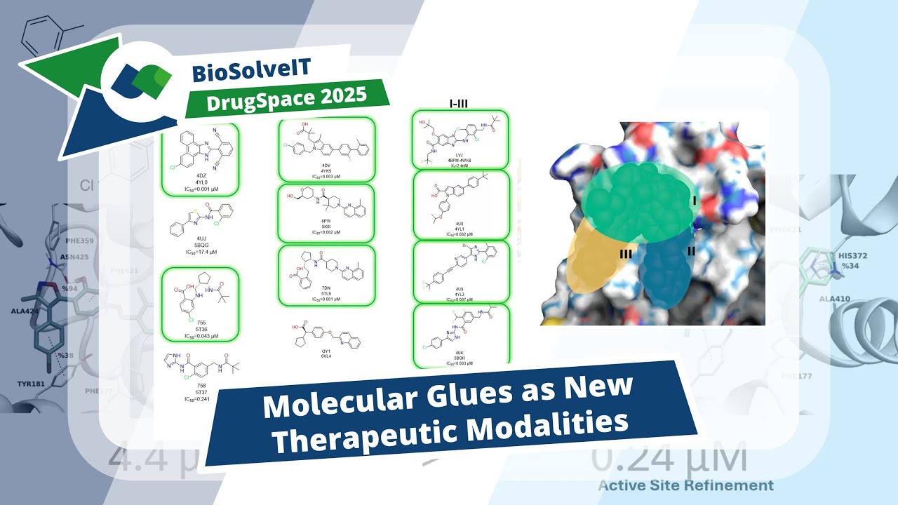 Integrative Computational Approaches for Multi-Target Drug Discovery in the Arachidonic Acid Pathway