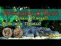 КРОКОДИЛЫ на Волге в начале 19 ВЕКА!! Фейк или правда?