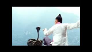 The Karate Kid 2010 OST Snake Charming