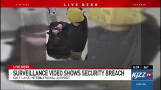 VIDEO: Man tries opening secure airport doors & windows, before death in airplane engine
