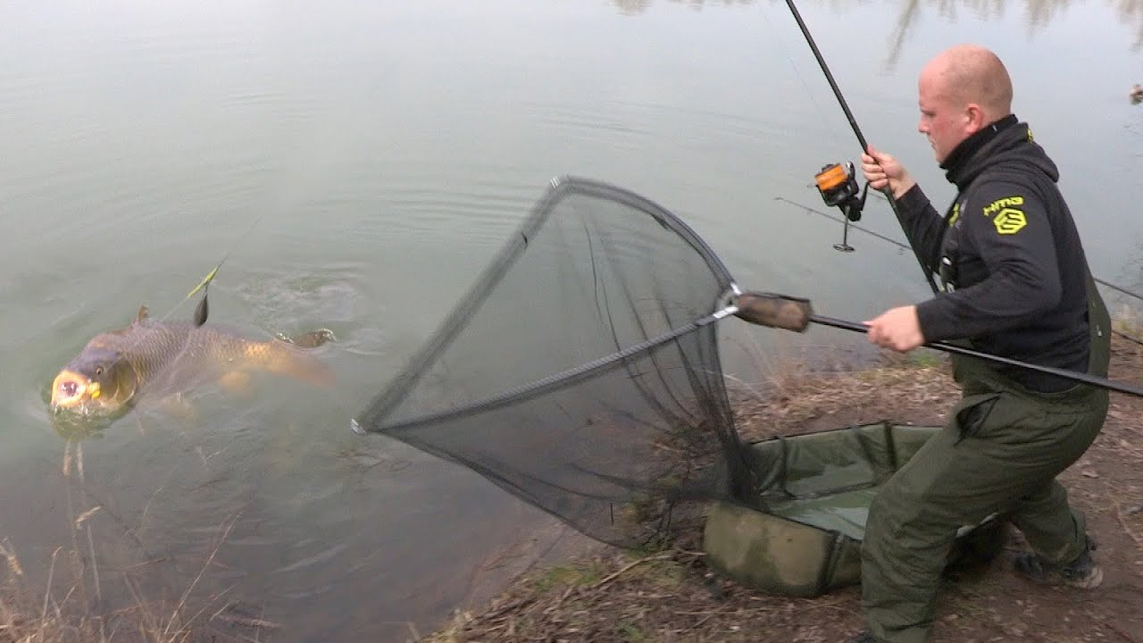 Pecanje šarana na jezerima pored reke Save kod Zagreba u Opštini Rugvica | Carp fishing