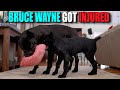 Bruce Wayne Got Injured