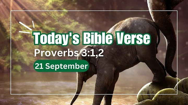 Today’s Bible Verse  with explanation Proverbs 3:1,2 | Forget not my law