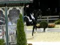 2010 World Equestrian Games Edward Gal Moorlands Totilas Freestyle