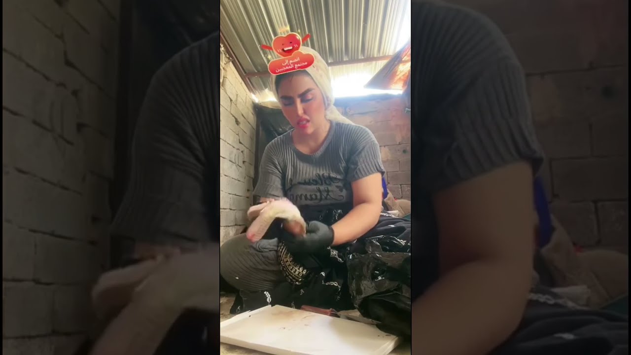 رجعت من السوك والفروخ كلهه تتصارخ وتبجي رنده كسرت ايد علاوي/نظفت السمج/زينب بت الديوانيه