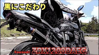 スイングアームも塗っちゃいました‼️Kawasaki ZRX1200DAEG〜PRIDEチャンネル vol.466