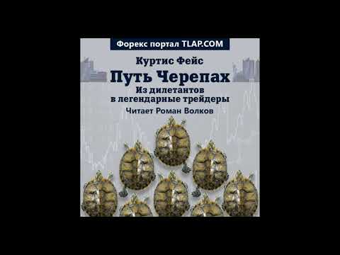 Видео: Что такое книга о черепахах?