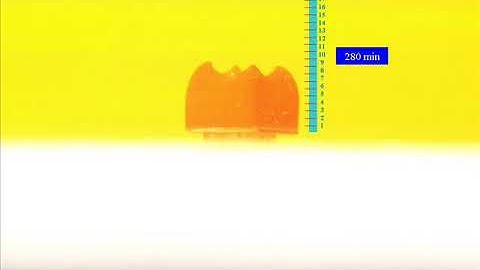 Growth of centimeter long carbon nanotube array