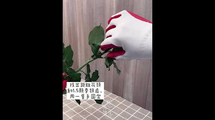 【技巧教學】請看這裏學習快速又有效率地除去玫瑰刺的方法，再也不用煩惱被扎到手啦～！｜除刺｜花藝教學｜技巧分享｜花伴一生 - 天天要聞