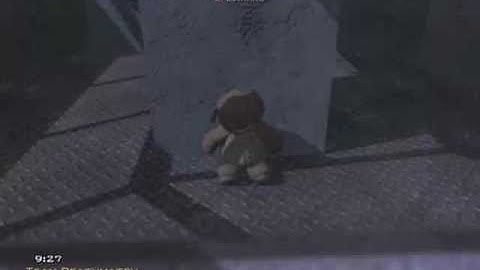 Modern Warfare 3 - Teddy Bear on Outpost