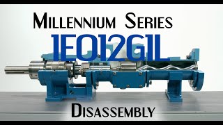 Millennium Series 1E012G1L Progressive Cavity Pump Disassembly