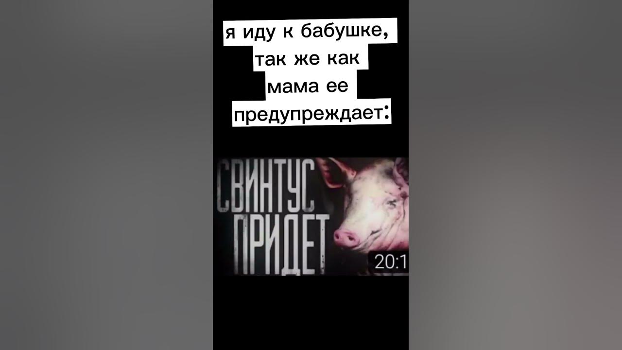 свинтус придет - YouTube